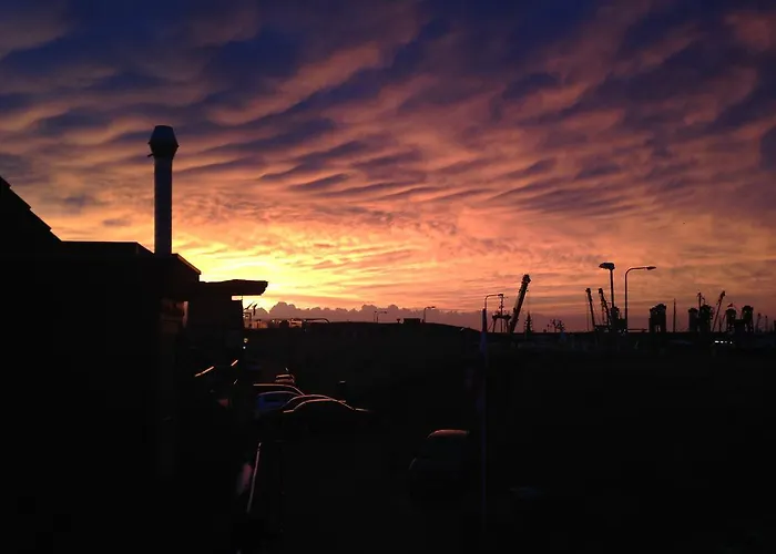 Waddenzee 덴오에버